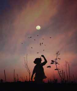 afterglow art backlit birds